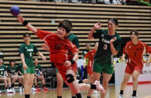 ハンドボール成年女子決勝でシュートする広島の安藤かよこ選手＝７日